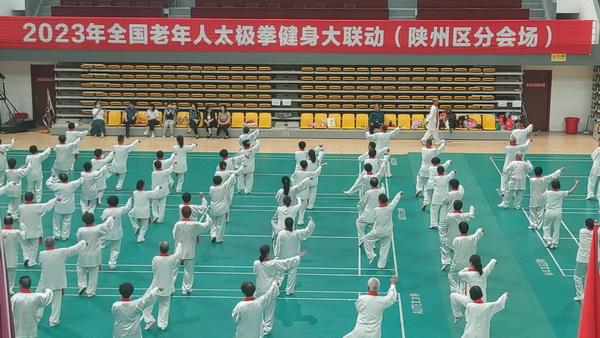 162-2310110TQ0C1_$1714470534419045036.jpg 162-2310110TQ0C1.jpg