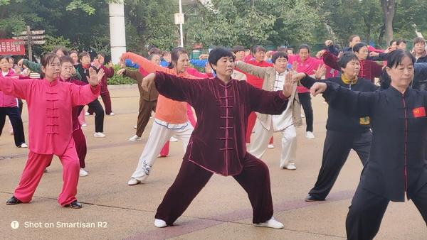 162-2310110TT4619_$1714470585511044739.jpg 162-2310110TT4619.jpg